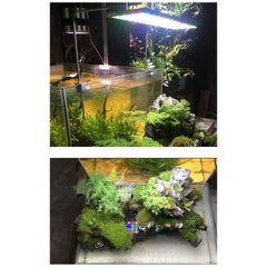 RGB Full Spectrum Fish Tank Light Remote-Control Aquarium Led for Aquarium Plant Growth