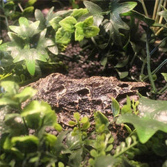 Resin Dark Decoration Nomoy Environmental Protection Suitable for Reptile Small Animals NS-110