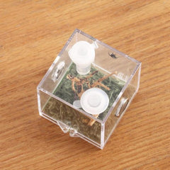 Spider Micro Big Habitat Small Pet Insect Breeding Box 360 Degree High Transparent