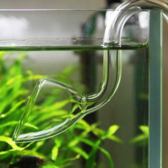 13mm and 16mm Glass Lily Pipe - Flower Design - In & Out without Skimmer