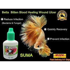 SUMA Betta 12 ML Bacteria and Fungus Quickly Recovery Wound Healing Prevention Infection