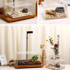Acrylic Breeding Box for Reptiles