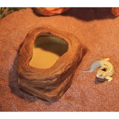 Feeding Bowl NS-77 – Reptile Food & Water Dish