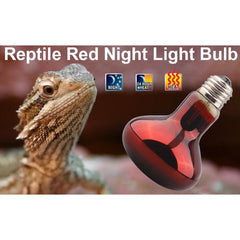 Nomoy Bearded Dragon Lizard Turtle Hermit Red Night Light Bulb 100W