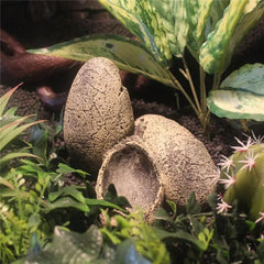 Exo Terra Dinosaur Eggs Hideout