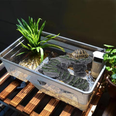Turtle Stand with Hide Basking Platform