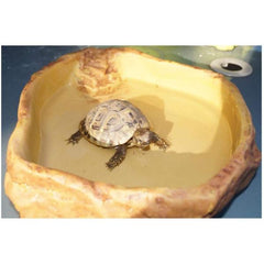 Exo Terra Water Dish Large Resin Bowl Water Food Dish Feeder for Reptiles Tank Terrarium