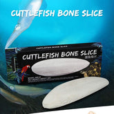 Reptile Health Release Mineral Cuttlefish Bone for Aquatic Turtle Bird Feed Cuttlebone Block Calcium Supplement