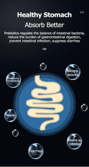 YEE Turtle Nutritional Balance Rich in Proteins