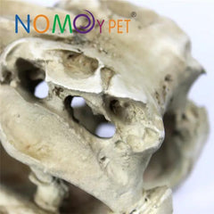 Nomoypet Crocodile Head Decoration Firm and Stable