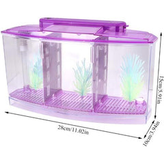 Isolation Acrylic Small Aquarium with 2 Color Lighting