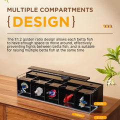 YEE fish tank with divider 50*16*12cm SET (Light)