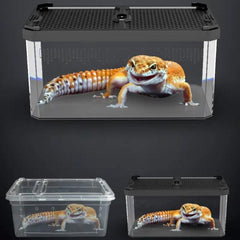 Nomoypet Magnetic Middle Sliding LID Feeding Box