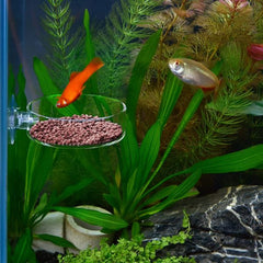 Transparent Smooth Durable Crystal Shrimp Food Dishes Feeding Bowl