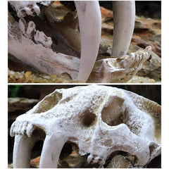 Tiger Skull Decoration Imitation Bone Skeleton