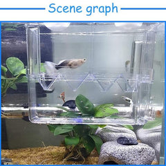 Multi-Functional Isolation Breeding Incubator Box 18x8.5x15cm