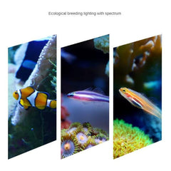 Marine Intelligent Lens Light 30W with Fan and Adjustable Options