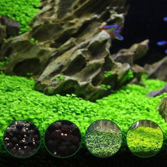 Aquarium Plant Seeds Landscape Decoration 600pcs