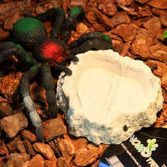 NOMOYPET Reptile Food Dish NS-61