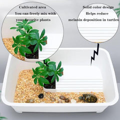 Turtle Tank Reptile Tortoise Habitat