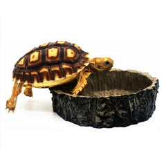 Reptile Vivarium Feeding Pan Turtle Horned Frog Water Food Bowl