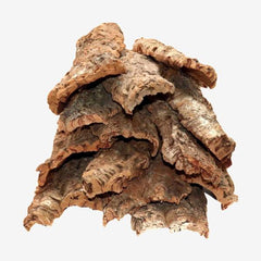 Natural Cork Bark Round for Reptile Terrarium Vivarium