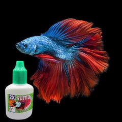 SUMA Betta 12 ML Bacteria and Fungus Quickly Recovery Wound Healing Prevention Infection