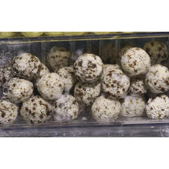 Filter Media Ceramic Bio Ball Sphere 500g