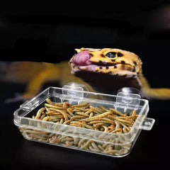 Nomoypet Translucent Plastic Food Water 2 in 1 Reptile Feeding Bowl Mealworm Anti-Escape Feeder for Tortoise Gecko Snakes Chameleon