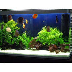 Premium Aquarium Sand White 1 KG