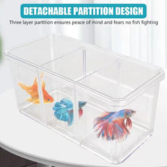 3 in 1 Betta Box Isolated Breeding Box (18.5 x 9.5 x 9cm)