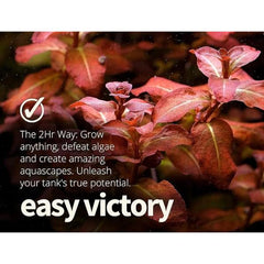 2hr Aquarist APT Estimate Index Aquatic Plant Fertilizer