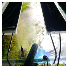 USB Mist Maker for Aquarium