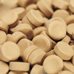 Porpoise Tropical Stick Food 100g added Astaxanthin