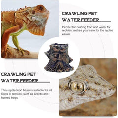 Reptile Food Water Bowl Imitating Natural Rock Resin Tortoise Food Containers