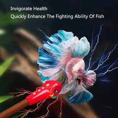 B&K Training Stick for Active Healthy Betta Fish 20cm