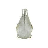 NOMOYPET Exotic Reptile Hide Landscape Skull Bone