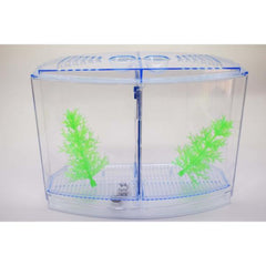 Betta House Fish Tank Double Isolation Box 19.5x13.5x10cm