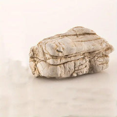 Turtle Stone 1kg