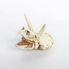 NomoyPet Resin Hide Decoration for Aquarium and Terrarium Landscape NS-116