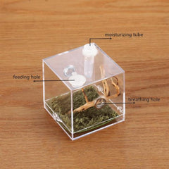 Spider Micro Big Habitat Small Pet Insect Breeding Box 360 Degree High Transparent