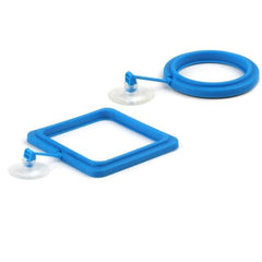 Feeding Ring Aquarium Fish Feeding Ring Practical Floating Food Square Circle Square and Round with Suction Cup Circle and Square