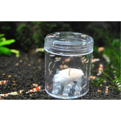 Plastic Trapper For Planarian Worm 8 Holes
