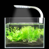 X5 Plus Aquarium Light 8W Clip-on Lamp Aquatic Plant Lighting for 35-40 cm Fish Tank