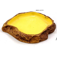 Reptile Water Bowl Terrarium Water Dish Food Feeding for Amphibian 5 Sizes