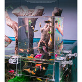 Acrylic Transparent Fish Tank Landscape Negative Pressure Top Water Refill