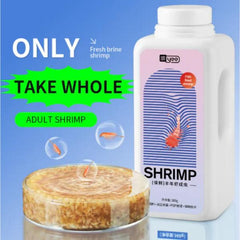 Fresh brine shrimp adult 360g New
