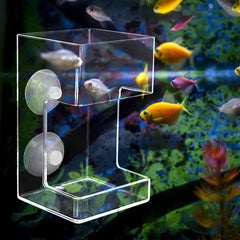 Multifunctional Acrylic Feeder for Fish and Shrimps