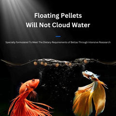 Betta Aquatic 85g Fish Food Special Brightening