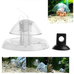 Clear Snail Trap for Planarian Leech